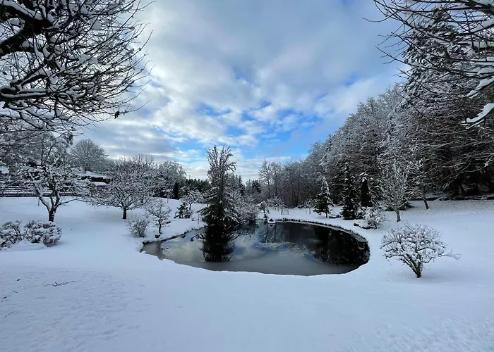 Moho Nat’ure Tiny-house Bed & Breakfast Saint-Nabord