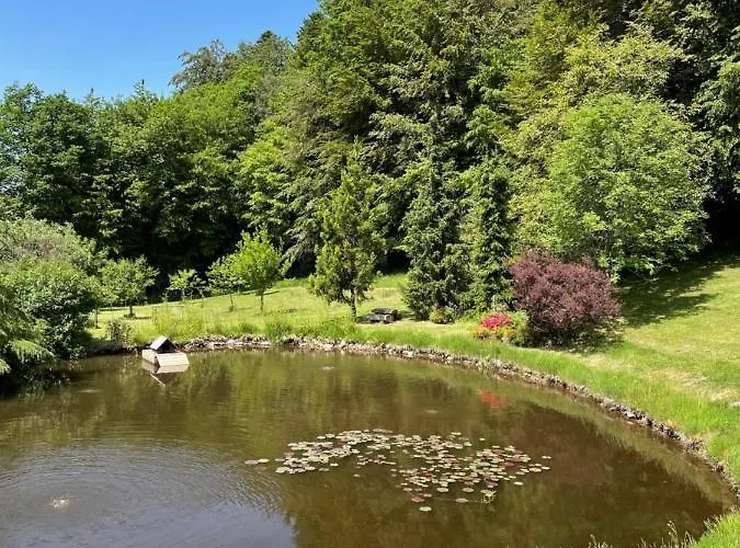 Bed & Breakfast Moho Nat’ure Tiny-house Saint-Nabord